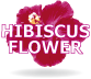 SPA products and cosmetic with hibiscus flower